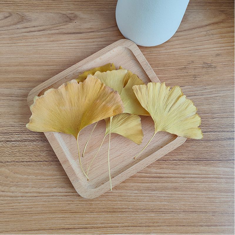 Natuurlijke gedroogde Ginkgo B - Soap Making In Home recensie en prijs